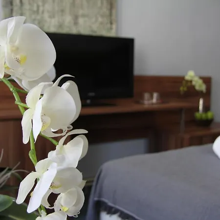 فندق Junior Poděbrady