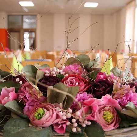 فندق Junior Poděbrady