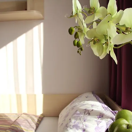 فندق Junior Poděbrady